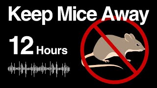 12h Mouse Repellent Noise  Random High Frequency [upl. by Lenahs]