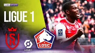 Reims vs Lille  LIGUE 1 HIGHLIGHTS  05062023  beIN SPORTS USA [upl. by Wurster]