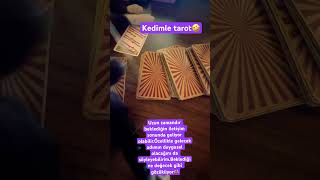 İLETİŞİM OLACAK MI tarot fortuneteller astroloji astrolog tarotreader tarotacilimi [upl. by Denni]