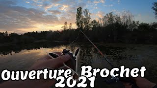 Je bats mon RECCORD pour lOUVERTURE BROCHET 2021 dernière vidéo ici [upl. by Adnarom504]