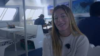 LiveAboard Socorro Island What to expect [upl. by Nahsaj]