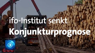 Wirtschaftsforscher senken Konjunkturprognose [upl. by Eentirb]