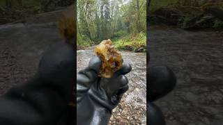 Tillamook Agate Quartz Nodule I April 2024 rockhounding agate oregon shorts river crystals [upl. by Avek]