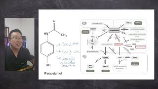 Mecanismo de Ação do Paracetamol  Farmacologia [upl. by Odarbil392]