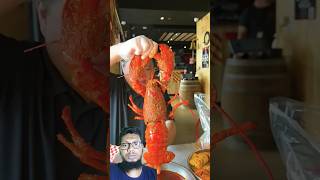 lobster catching and cooking lobster lasvegas foodchallenge shorts [upl. by Einnaj]