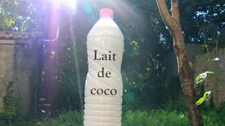 Recette lait coco maison [upl. by Nnovahs]