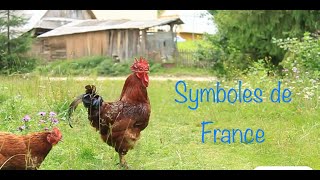 Impara il francese les symboles de la France [upl. by Greenwell908]