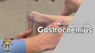 MLT Gastrocnemius Muscle Length TestingNonWeightbearing [upl. by Aicekan600]