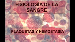 FISIOLOGÍA DE LA SANGRE PLAQUETAS Y HEMOSTASIA [upl. by Ettellocin]