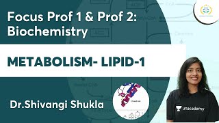 Metabolism Lipid1  Focus Prof 1 amp Prof 2 Biochemistry  Unacademy Future Doctors  DrShivangi [upl. by Elad]