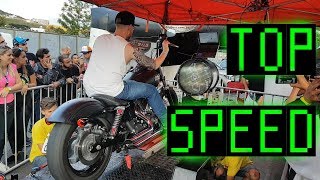 HARLEY DAVIDSON STREET BOB TOP SPEED [upl. by Dorwin]