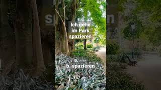 Ich gehe im Park spazieren spazieren gehen spazieren german deutsch verbs germangrammar [upl. by Aleedis]