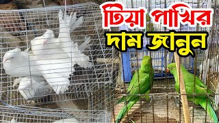 টিয়া পাখি ও কবুতরের দাম জানুন ।Tia Pakhir Dam Koto। নাটোর তেবাড়িয়া হাট । Tebaria Hat Natore [upl. by Eerised]