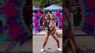 Caribana 2023 Highlights PT 1 [upl. by Lem]