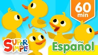 Cinco Patitos Y Más Canciones Infantiles  Música Para Niños [upl. by Domeniga536]