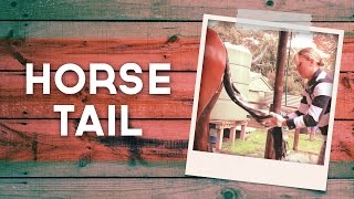 How To Prepare Your Horses Tail [upl. by Berman]