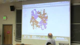 6 Biochemistry Lecture Hemoglobin from Kevin Aherns BB 350 [upl. by Mcdade]