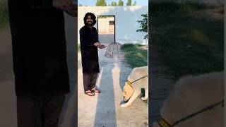 Zeeshan Rokhri New Song 2024 zeeshanrokhrisong zeeshanrokhri song ytshorts viralsong virlvideo [upl. by Wye]