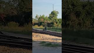 DGNO Conductor at Work Carrollton TX [upl. by Eppes599]