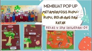 Membuat Pop Up Metamorfosis Kupukupu Belalang dan Katak [upl. by Nnahs]