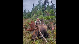 2024 Newfoundland Moose Hunt  Oceanside Country Lodge tikka leupoldoptics sitka [upl. by Saixela]