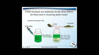 Paracetic Acid for Disinfection of Municipal Effluent [upl. by Darach]