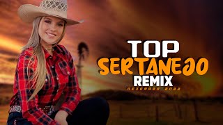 MEGA MIX  AS TOPS SERTANEJAS  ELETRONEJO  SERTANEJO REMIX  DEZEMBRO 2022 [upl. by Ttej]