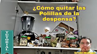 ¿Còmo quitar las polillas de la despensa de la cocina [upl. by Venetia393]