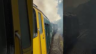 50008 Thunderer 50042 Triumph Bodmin Diesel Gala locomotives front window BritishRailways [upl. by Nyliac]