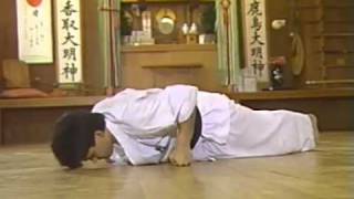 The Kyokushin Part3  4 of 4 [upl. by Clyve]