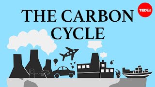 The carbon cycle  Nathaniel Manning [upl. by Nawat]