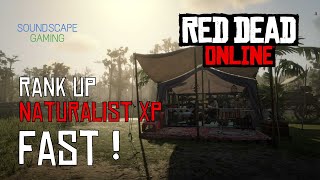 XP Rank up FAST  Naturalist Role XP Harriet Davenport  Red Dead Redemption 2 Online [upl. by Mavilia]