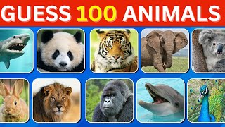 Guess 100 Animals in 16 Minutes  Animal Quiz [upl. by Kcirdec]