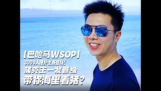 【巴哈马WSOP】3000人的德扑冬奥会主赛登场！激励蒲克王一发晋级的竟然是——看猪？会游泳的猪巴哈马游记WSOP天堂岛主赛蒲克王的奇妙冒险Weiran Pu [upl. by Marlette838]