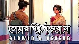 তোমার পিছু ছাড়বো না  Tomar Pichu Charbo Na  Nahid Hasan  Slowed amp Reverb [upl. by Harrow889]