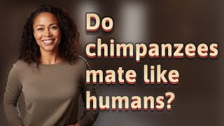 Do chimpanzees mate like humans [upl. by Yrocal979]