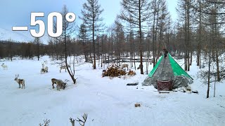 Life of Mongolia Nomads near the borders of Russia Tsaatan life in Mongolia in winter [upl. by Gare]