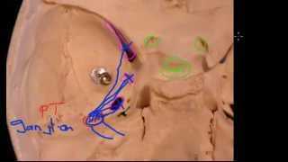 Trigeminal Nerve Basics [upl. by Dett367]