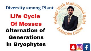 Life Cycle of Mosses Reproduction in Bryophytes Alternation of Generations [upl. by Pubilis]