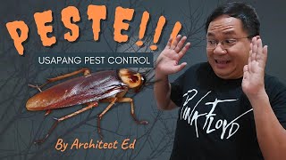 Pest Control Kailangan Ba Talaga Sa Construction ng Bahay Mo [upl. by Trah561]