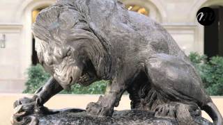 Vidéo  la Ménagerie du Jardin des Plantes [upl. by Bucher938]