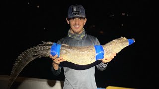 Capturamos un Caimán En el RíoCaimanes en Puerto Rico🇵🇷Pasamos un Susto🤣Están En todos lados🐊 [upl. by Ahsiek]