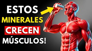 5 Minerales ESSENCIALES Para el CRESCIMIENTO MUSCULAR PASO A PASO COMPLETO [upl. by Ynohtn725]