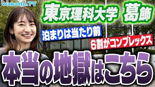 【もう限界！地獄】頑張っても留年！忙しさ激ヤバ学部とは？そして闇も東京理科大学葛飾キャンパス調査！【wakatte TV】964 [upl. by Neeluqcaj]