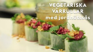 Så gör du VEGETARISKA VÅRRULLAR [upl. by Turmel556]