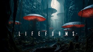 Lifeforms  Calm Space Ambient Meditation  Soothing Ambient Music for Sleep and Relaxation [upl. by Lilian]