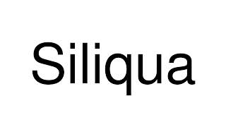 How to Pronounce Siliqua Italy [upl. by Gudrin]