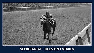 Secretariat  Belmont Stakes 1973 [upl. by Assyli]