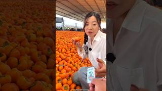 Amazing Persimmon Fruit 🍑🍑  Delicious Fram Fresh Fruits shorts fruit youtubeshorts [upl. by Ocire]