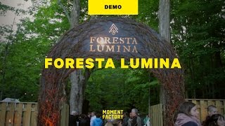 Foresta Lumina  An Enchanted Night Walk From Park to Illuminated Forest [upl. by Ikaz]